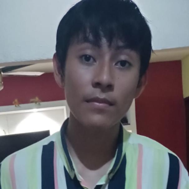 User Image