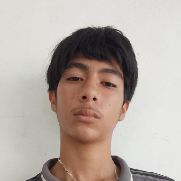 User Image