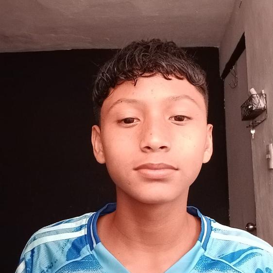 User Image