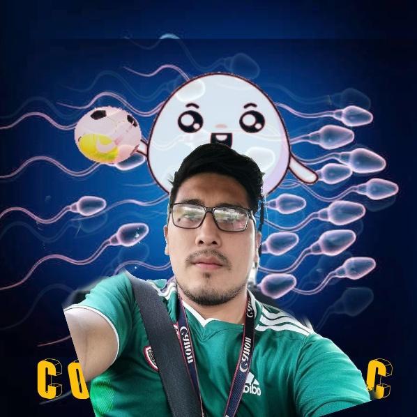 User Image