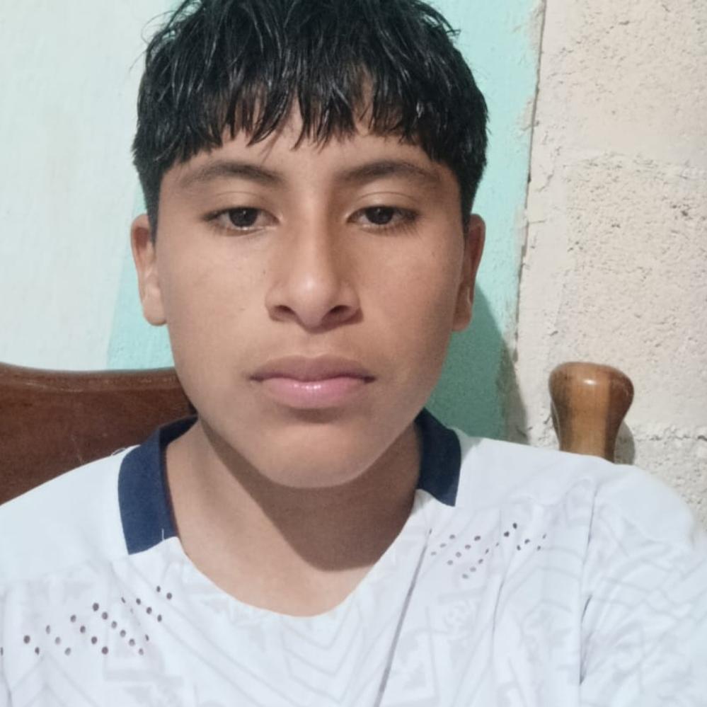 User Image