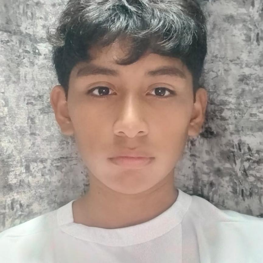 User Image