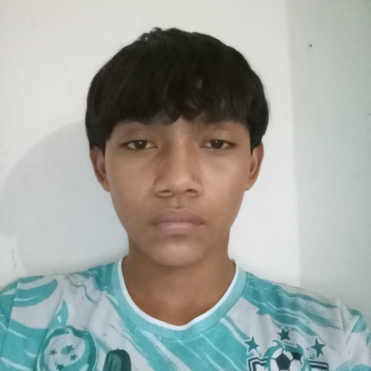 User Image
