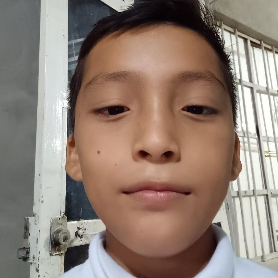 User Image