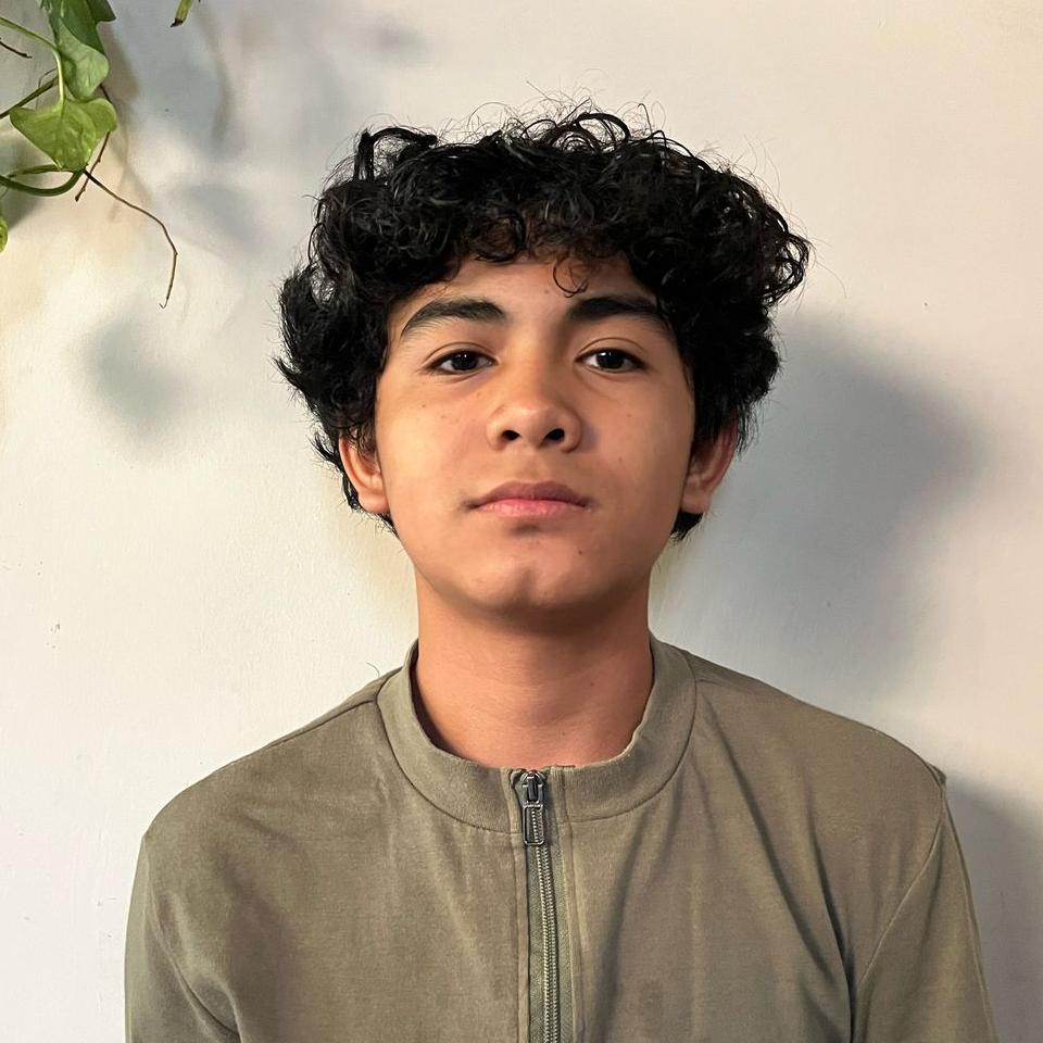 User Image